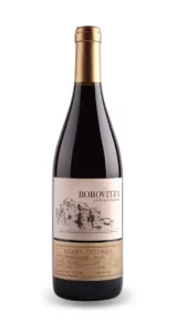But-First-Wine-grani-gamza-borovotsa