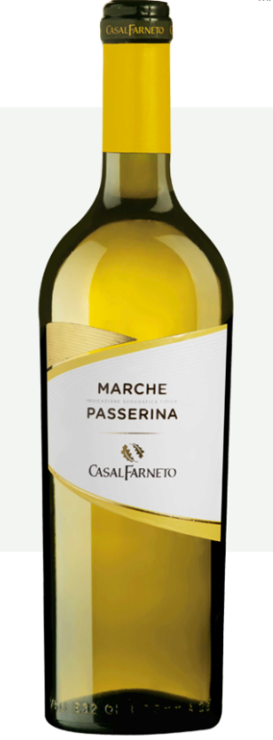 But-First-Wine-Casaifarneto-Passerina-Marche