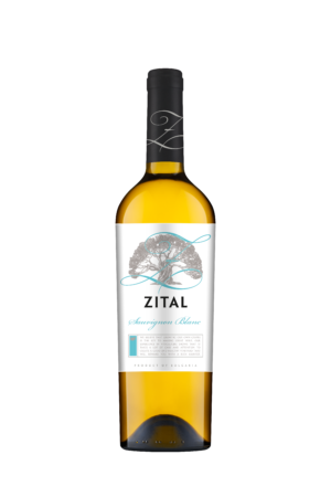 zital-sauvignon-blanc-but-first-wine