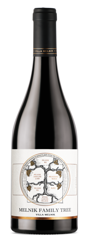 family-tree-villa-melnik-but-first-wine